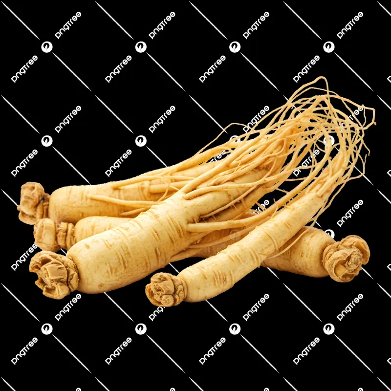 Корень женьшеня
